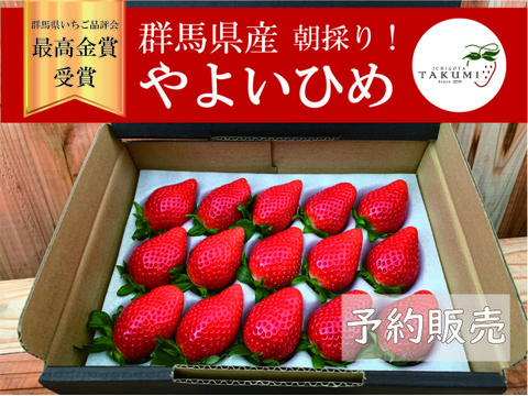 「群馬県いちご品評会最高金賞受賞」朝採れいちご　２箱（計やよいひめ400g x 2シート）