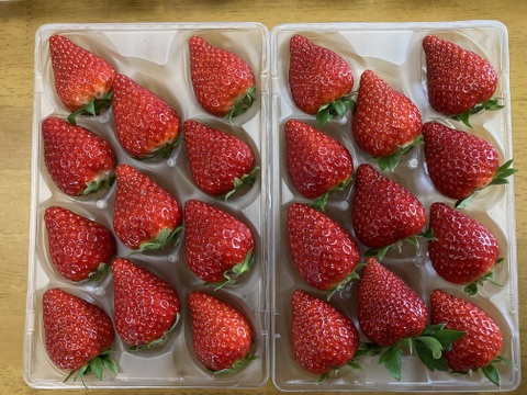 ならあかり　いちご　260g×2P 奈良県