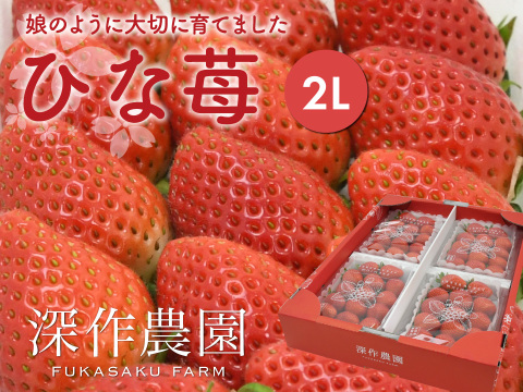 娘のように大切に育てました！いちご（苺・イチゴ）オリジナルブランド苺　ひな苺【2Lサイズ×4パック】