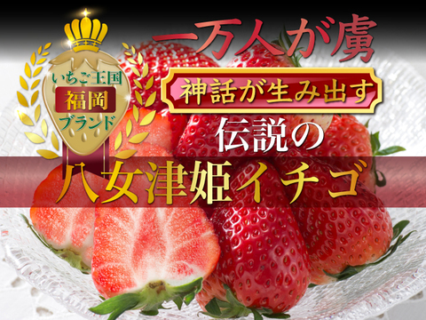 【ミシュラン御用達】🍓日テレDayDay出演話題沸騰🍓やみつきリピーター続出🍓累計数十万人が虜になる実力糖度『八女津姫ブランドいちご』大容量パッケージ３月中旬ごろ発送