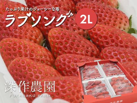 たっぷり果汁のジューシーないちご！いちご（苺・イチゴ） オリジナルブランド苺　ラブソング【2Lサイズ×4パック】