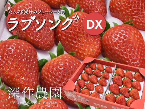 苺（いちご・イチゴ）たっぷり果汁のジューシー！オリジナルブランド苺　ラブソング【デラックス】