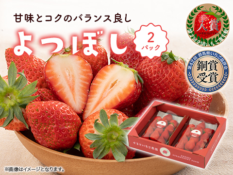 甘味とコクのバランス良し！鮮やかな赤色いちごのよつぼし250g×2パック
