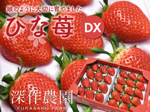 オリジナルブランド苺　ひな苺【デラックス】苺（いちご・イチゴ）娘のように大切に育てました!
