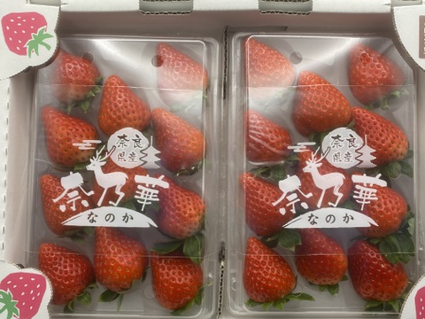 『奈乃華』奈良の新進いちご　1パック11粒、約270g×２パック