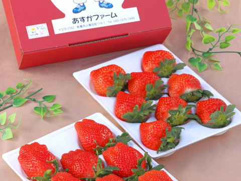 【冬ギフト】【いちご食べ比べ】【お彼岸、内祝い、家族団らんにも】それぞれ違った味いちごのテーマパーク 約400ｇ 2パック