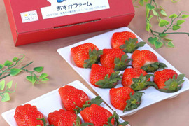 【冬ギフト】【お彼岸、内祝い】桃の香り 恋みのり   こだわりの栽培で極めた究極の香り 約400ｇ 2パック