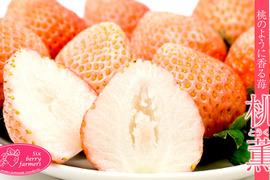 希少品種「桃薫」大粒 1パック（9～20粒 約300g）