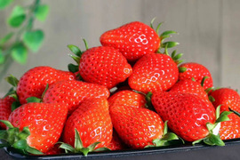 【いちご食べ比べ】🍓4種類食べ比べ 🍓こだわりの栽培で味が濃すぎるいちご (大きさ不揃い)  2kg