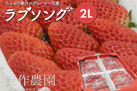 たっぷり果汁のジューシーないちご！いちご（苺・イチゴ） オリジナルブランド苺　ラブソング【2Lサイズ×4パック】