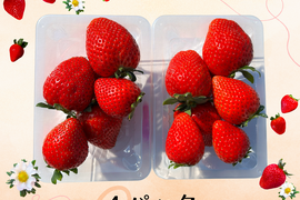  高糖度♡朝採れ直送🍓甘くてジューシー！【とちあいか】2段詰4パック