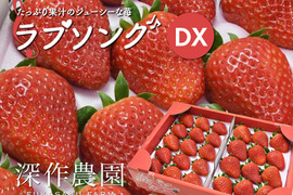 苺（いちご・イチゴ）たっぷり果汁のジューシー！オリジナルブランド苺　ラブソング【デラックス】
