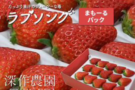 たっぷり果汁のジューシーないちご♪　オリジナルブランドいちご　ラブソング【苺まもーるパック】苺（いちご・イチゴ）