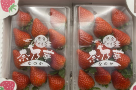 『奈乃華』奈良の新進いちご　1パック11粒、約270g×２パック