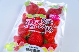 お試し食べ比べ！恋ひめ・恋みのり（300g×2パック）【いちご食べ比べ】