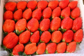 ２箱セット
トクトク🍓いちごの宝石箱
朝摘み完熟❤️酵素栽培の
こだわりとちおとめ