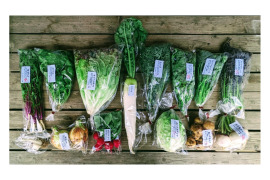 【旬のVEGE箱（80サイズ）】土壌医＆有機農家がつくる！畑の「今」を箱いっぱいにつめこんだ野菜セット（約11〜12品種）