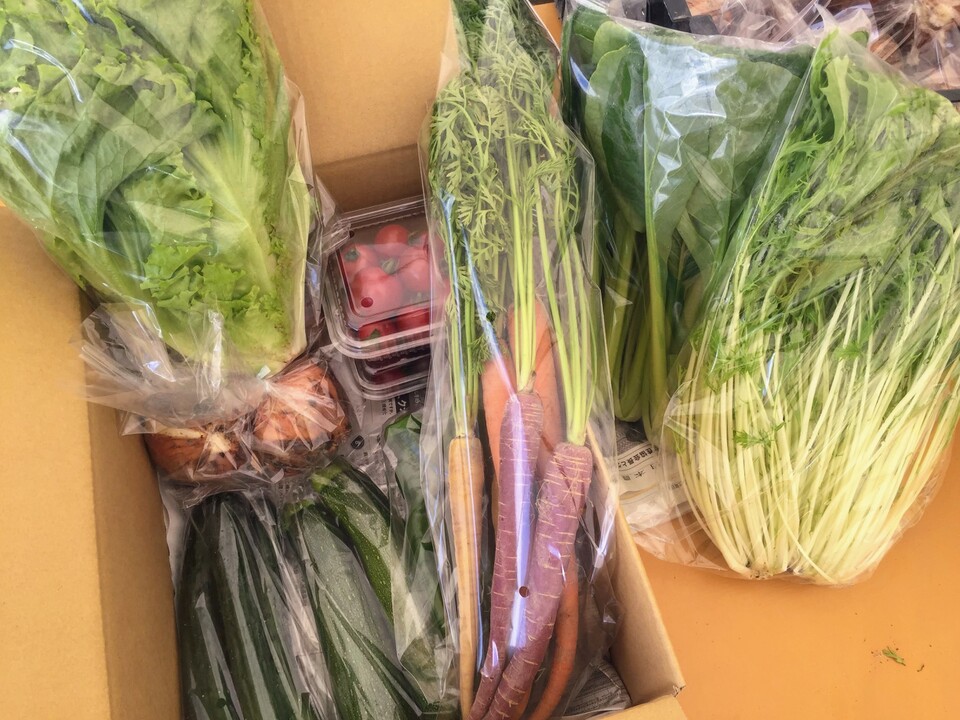 ＼シャキうま！／南房総の旬野菜セット！セレクトおまかせ【8品目】