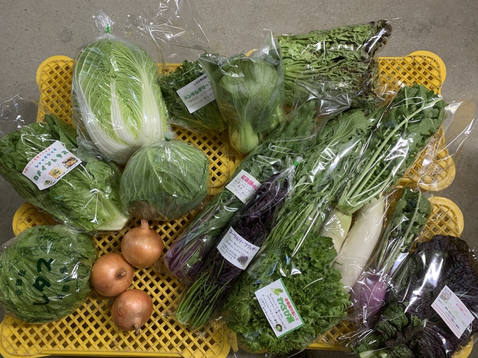 淡路島からの野菜4種❣️お任せセット(^-^)v❣️野菜セット