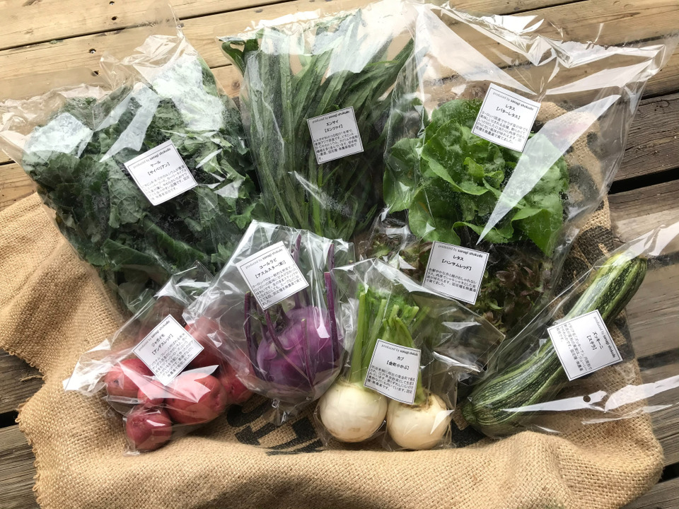 採れたて！季節の野菜セットSサイズ(固定種野菜・農薬不使用)