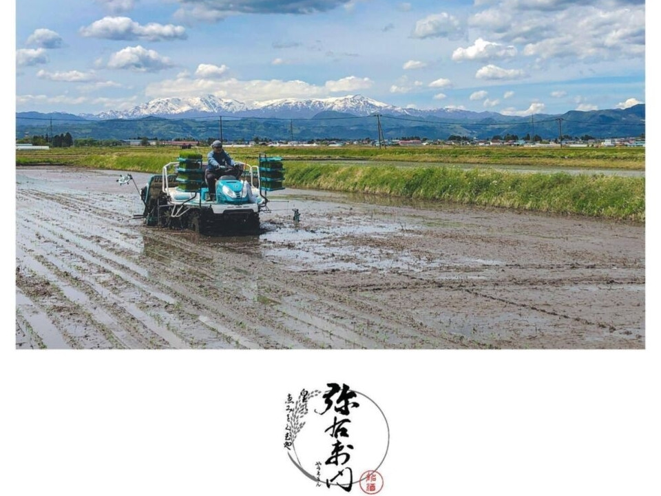 雪蔵銀ぴか米（コシヒカリ）10㎏