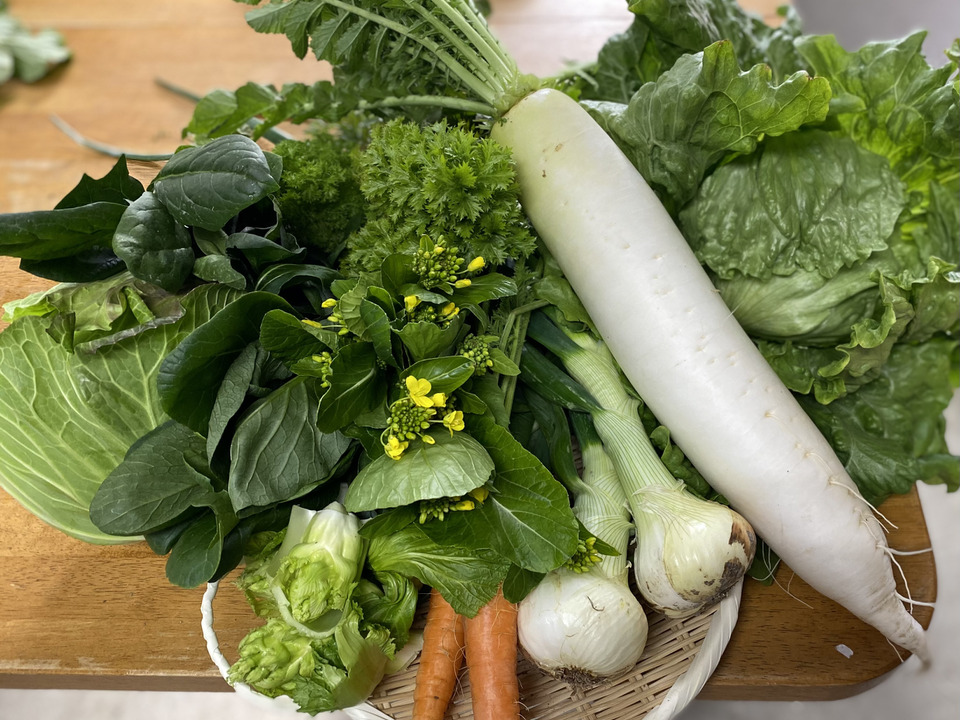 【淡路島より旬をお届け】お任せ野菜セットMサイズ