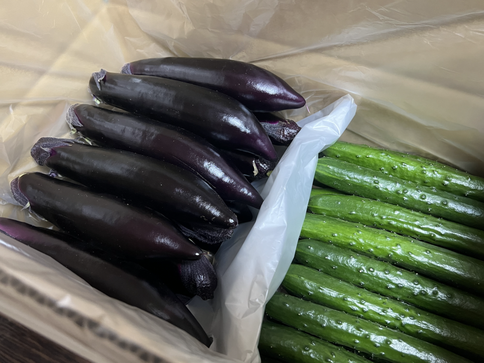 【金の土】ナスとキュウリのセット【５ｋｇ】《篤壌シリーズ》(5kg)