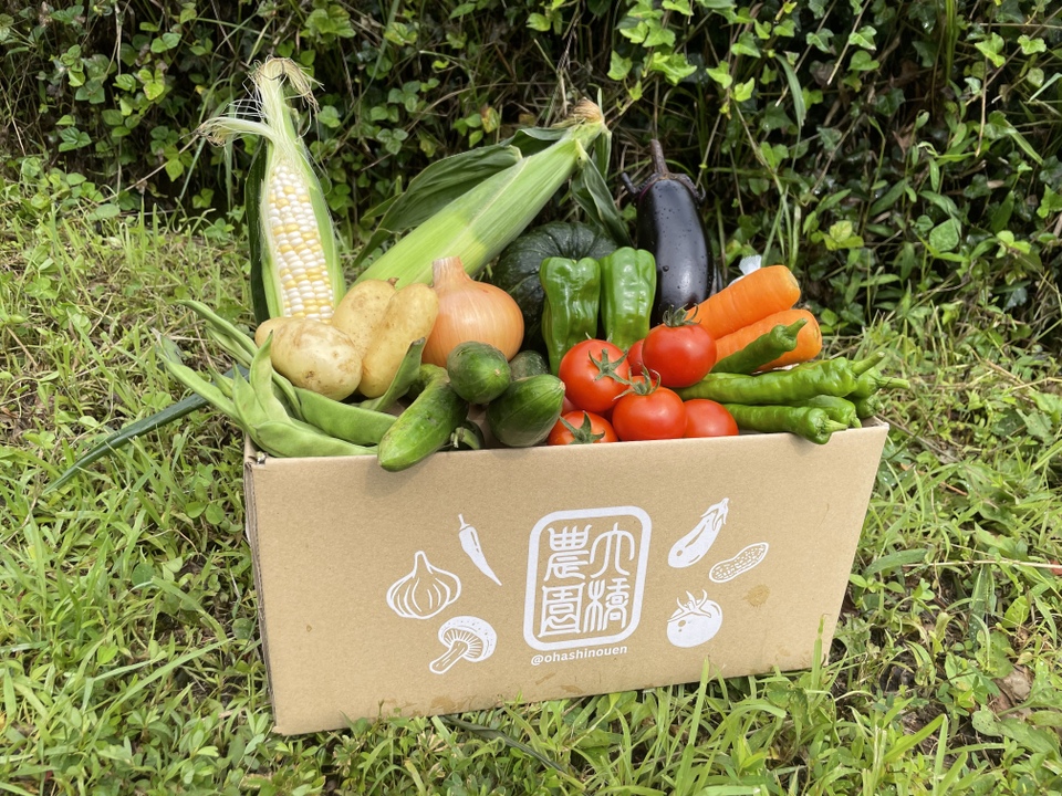 濃い味！朝採れ旬の野菜セット【12品目】