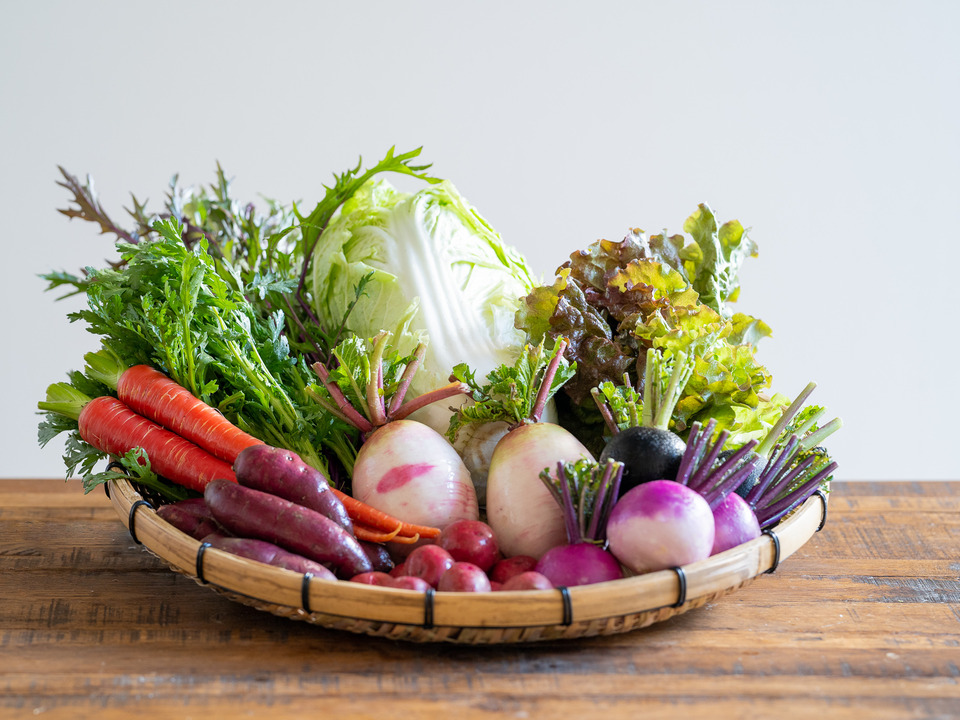 大地と太陽の恵み★佐賀県産季節の旬野菜セット(栽培期間中農薬・化学肥料不使用・露地栽培)【１５種類】