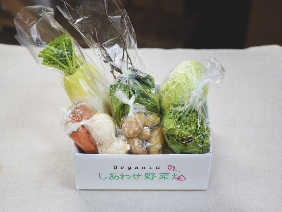 有機野菜Sセット🌸一足早く春をお届け（早咲き桜の小枝入り）