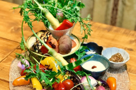 【今が旬！】シェフ御用達！医療人が栄養価にこだわった【旬の機能性野菜9~10品目セット】