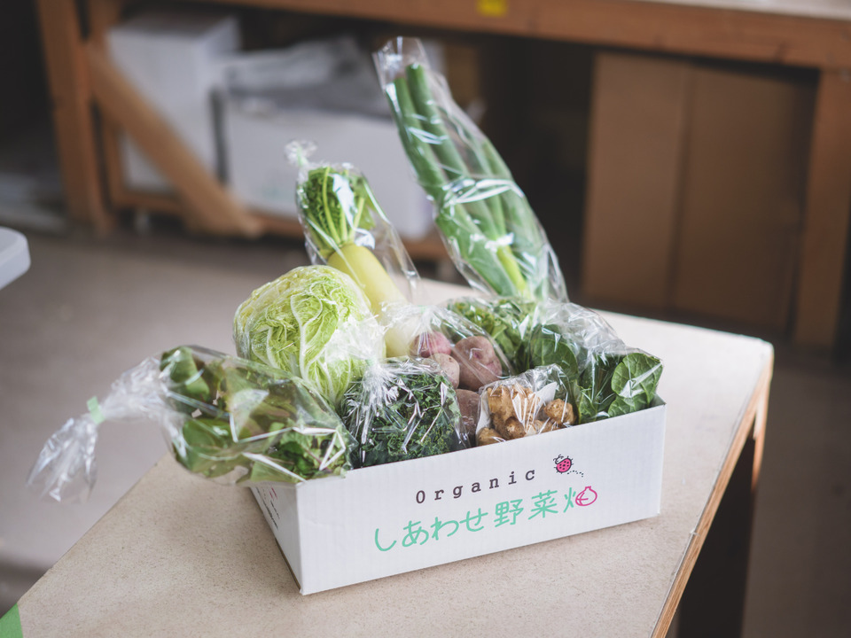 【規格外増量】オーガニック野菜「シェフＭセット」しあわせ野菜畑