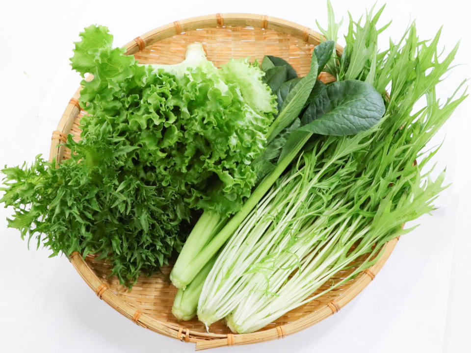 カリウムが気になる方へ！生で食べれます！えらべる５袋セット低カリウム野菜「Dr,ULHAドクターウルハ」