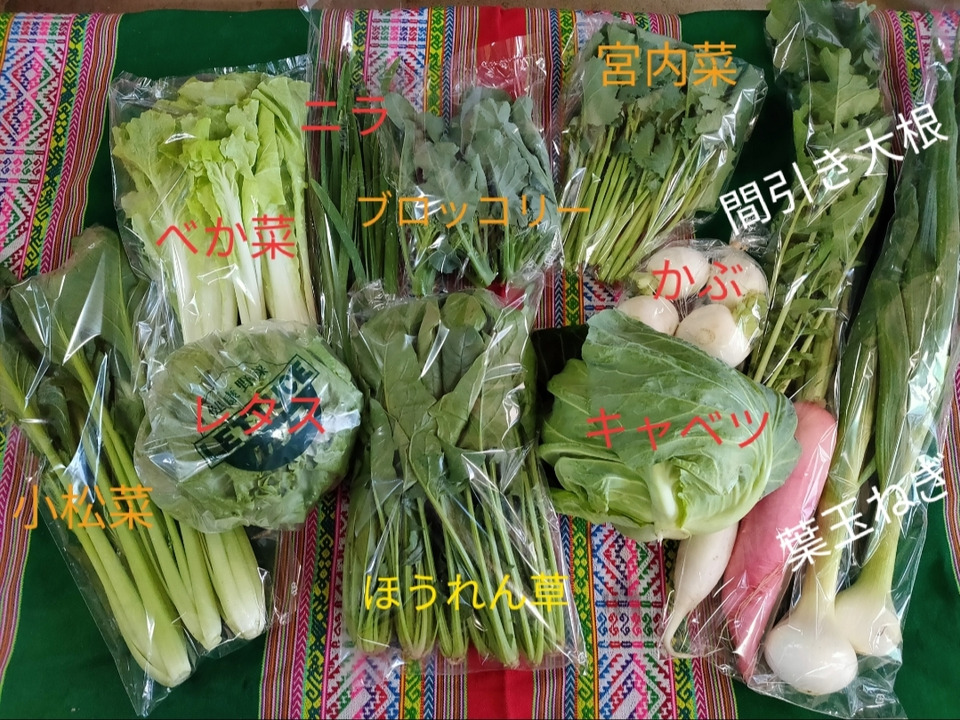 お楽しみ★農園自慢の情熱野菜セット　7袋　発送タイミングおまかせ　フードロス対策　パチャママ農園