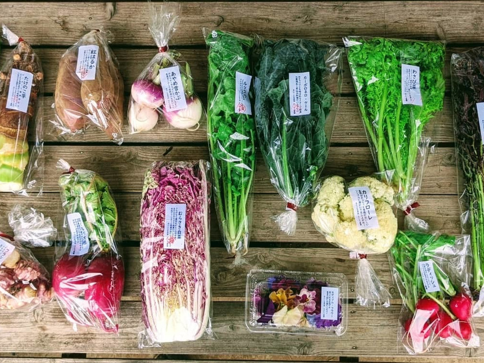 定期便限定!【旬のVEGE箱（80サイズ）】土壌医＆有機農家がつくる！畑の「今」を箱いっぱいにつめこんだ野菜セット（約11〜12品種）