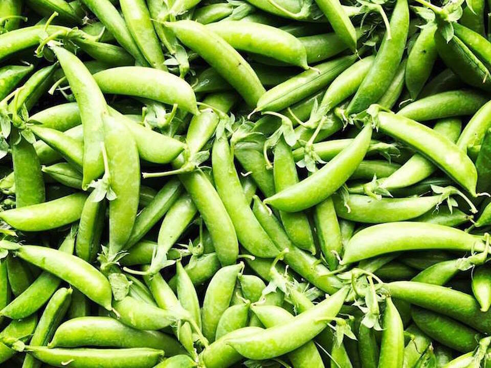 売上第１位❗️☆畑直送☆【福岡県糸島産】朝獲れ＊無NO薬野菜セット(10品前後)【糸島市ふるさと納税出品商品】