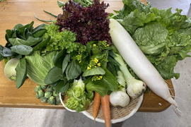 【淡路島より旬をお届け】お任せ野菜セットLサイズ