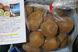 ビタミンたっぷりキウイふる～つ  家庭用Ｓサイズ２K箱【品種ヘイワード】