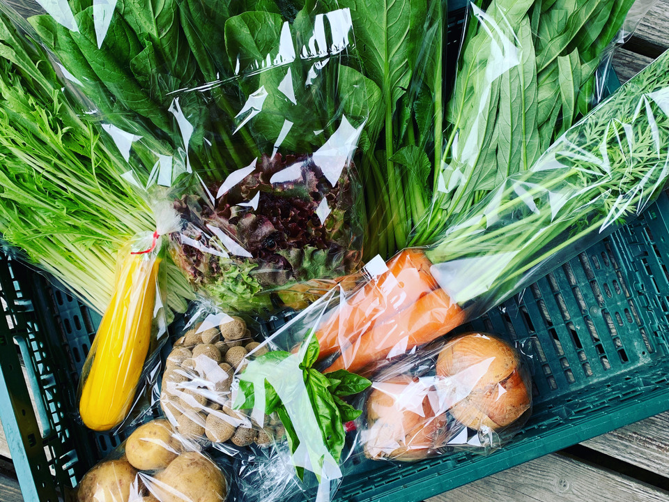 ギフトにも！しめじ入り！旬のお野菜セット　8〜10品目熨斗対応可＜農薬、化学肥料不使用＞