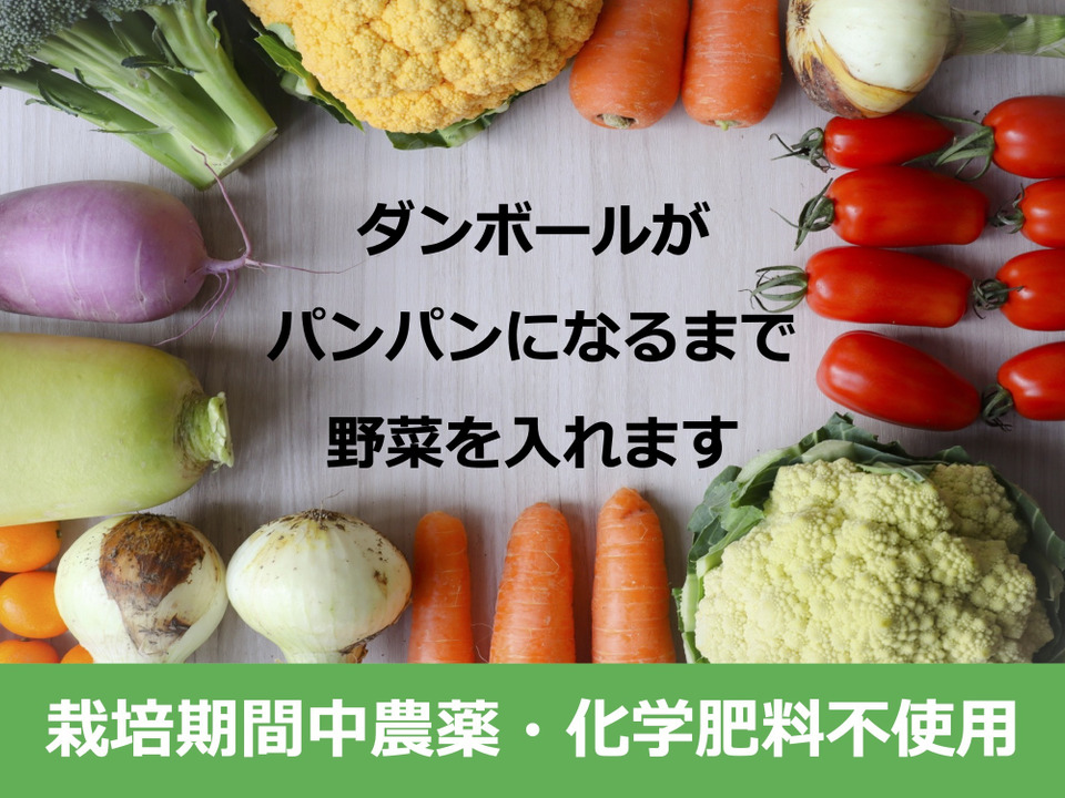 2〜4名様向け野菜セット／旬の野菜7種