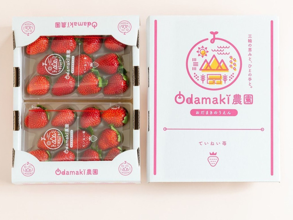  【いちご博2024 金賞受賞】お祝いに！奈良高級ブランドいちご『古都華』（熨斗付）特別栽培農産物　2パック1箱 朝採り完熟！農薬削減栽培！
