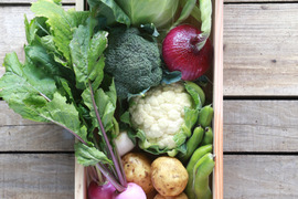 【須崎農園】こだわり栽培旬野菜おためしセット【7種】