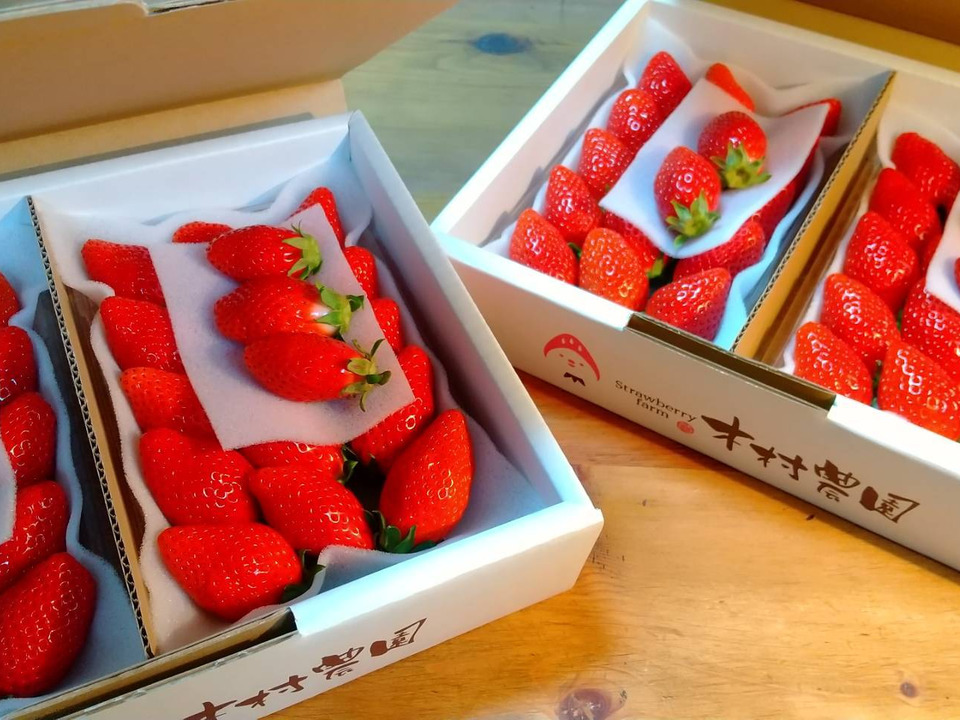  🎶ちょっぴり小粒🎶やよいひめ『群馬いちご』320g×4トレー