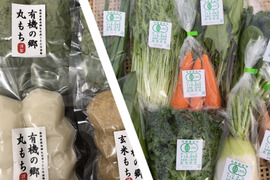 【グリーンファームアワード受賞記念】朝採れ新鮮野菜＆まる餅お任せ2袋詰め合わせセット
