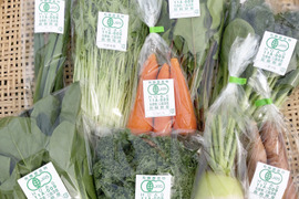 【リピーターの皆さまにオススメ！】選べる！有機野菜セット（6種）
